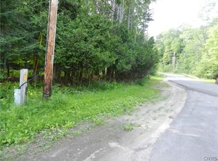 0 Bingham Mills Rd, Stratford, NY 13470