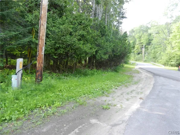 0 Bingham Mills Rd, Stratford, NY 13470