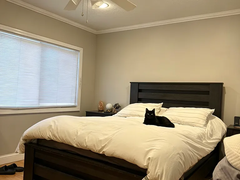 29 Arrowood Ct — Photo 9