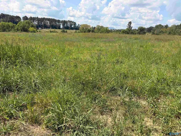 30 County Road 158, Centre, AL 35960
