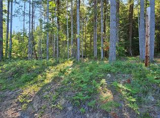 0 Terrace Way, Packwood, WA 98361