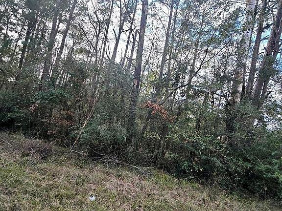 2nd image of Pid 1181 Bevil Loop