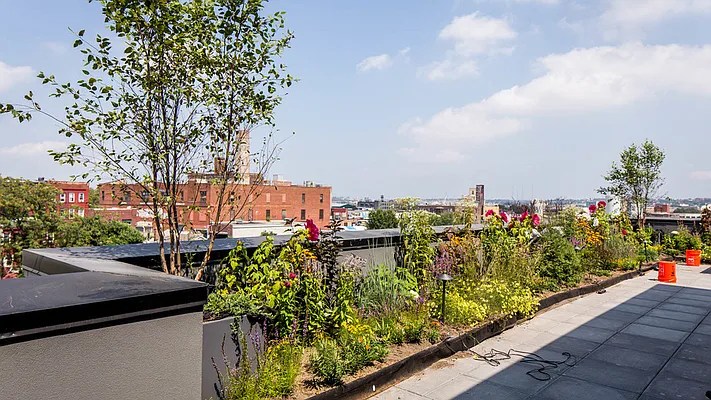 Rented by Nooklyn NYC LLC | media 38