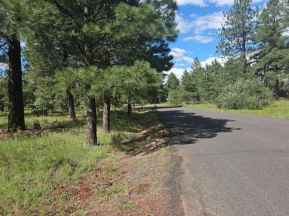 4th image of 196 N Spitz Spring Rd