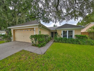 4516 Cabbage Palm Dr, Valrico, FL, 33596