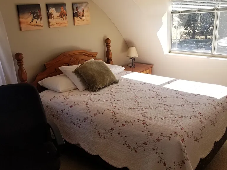 2940 W Colt Canyon Trl — Photo 9
