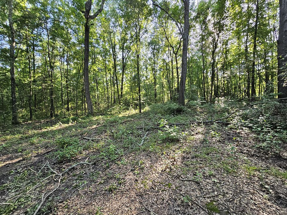 2nd image of Strickland Rd