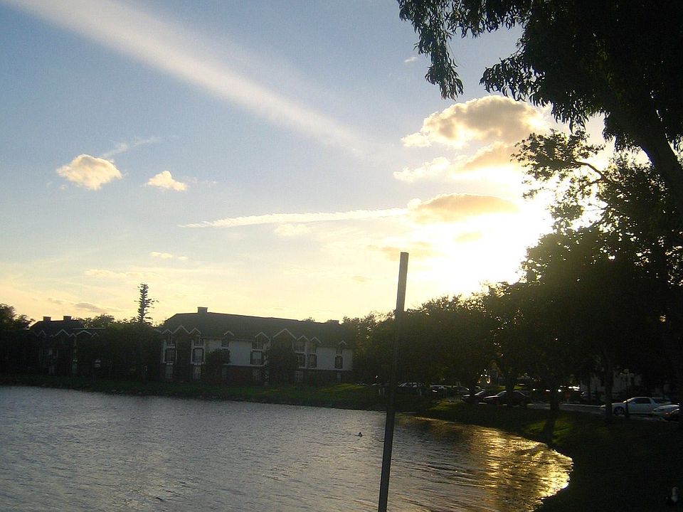 View from lake