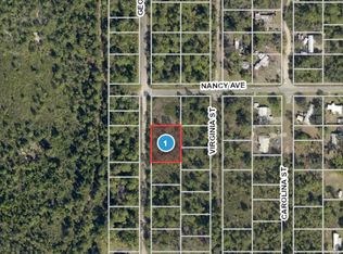 Georgia St, Paisley, FL 32767