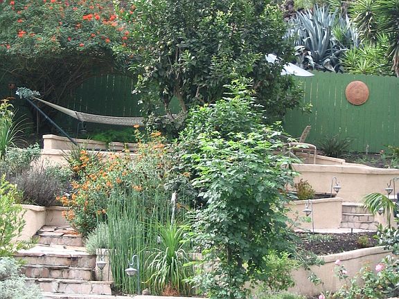 One of the trails in yard