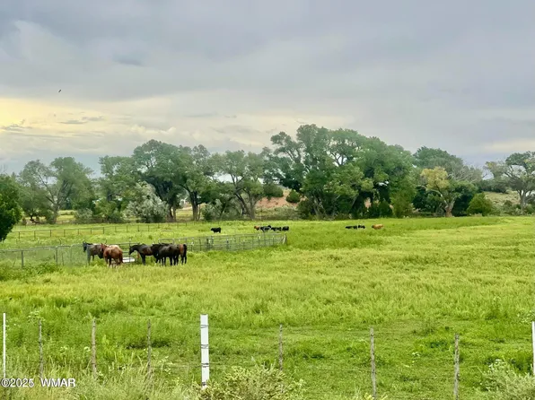 7641 Blackies Rd, Taylor, AZ 85939