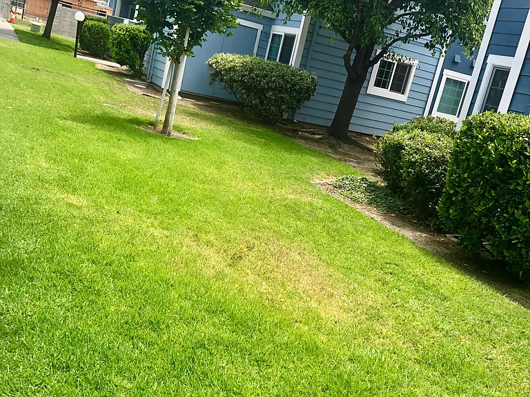 Mariner Village — Photo 16