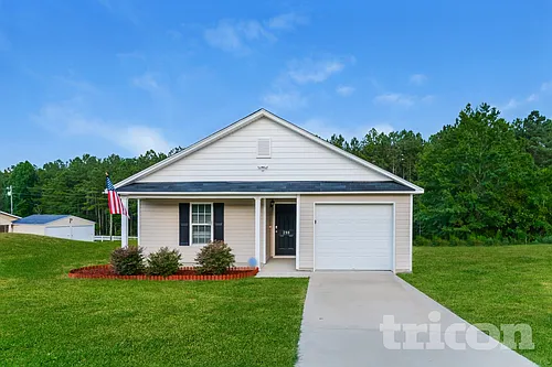 299 Emilies Crossing Way Photo 1