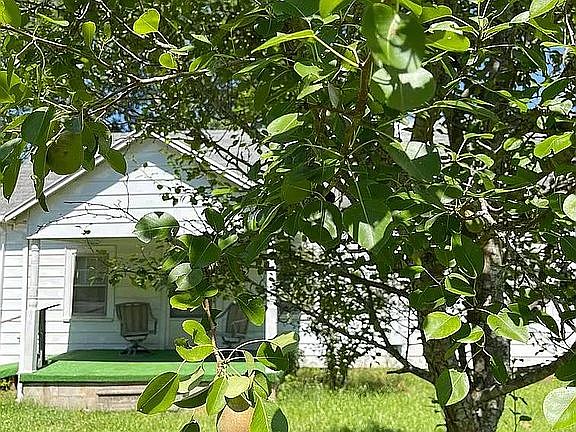 4th image of 311 Torrington Rd