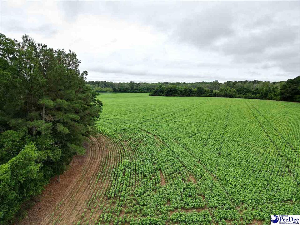 1st image of 45/ACRE Southwind Rd #300