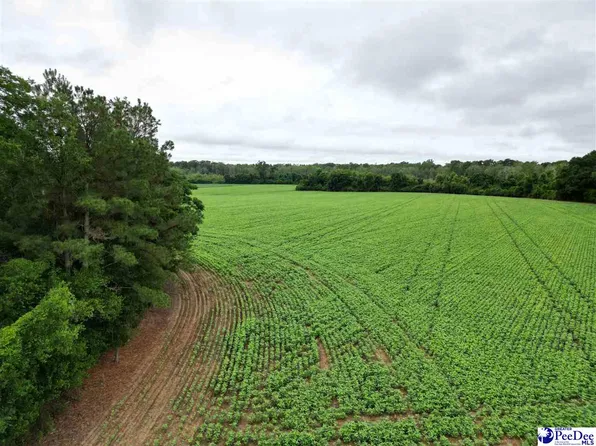 45/ACRE Southwind Rd #300, Dillon, SC 29536