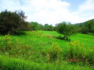 0 Whiskey Hollow Rd, Hobart, NY 13788