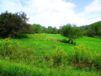 0 Whiskey Hollow Rd, Hobart, NY, 13788