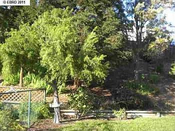 2nd image of 4413 Caribou Ct