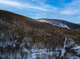 L46111 Panarama Ln, Windham, NY 12496