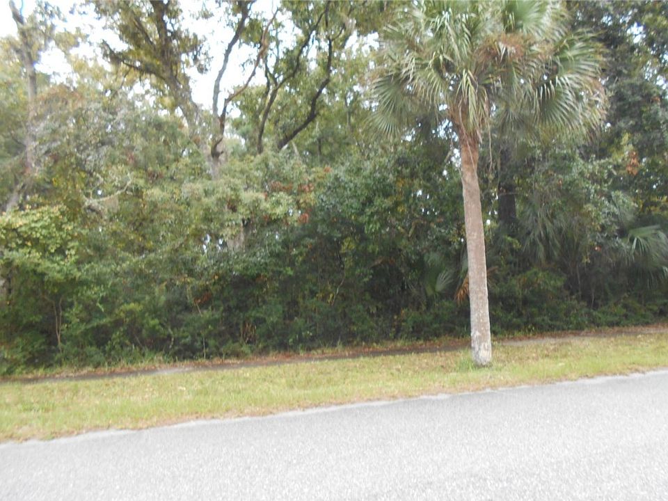 2nd image of LOT 4 Lewis St