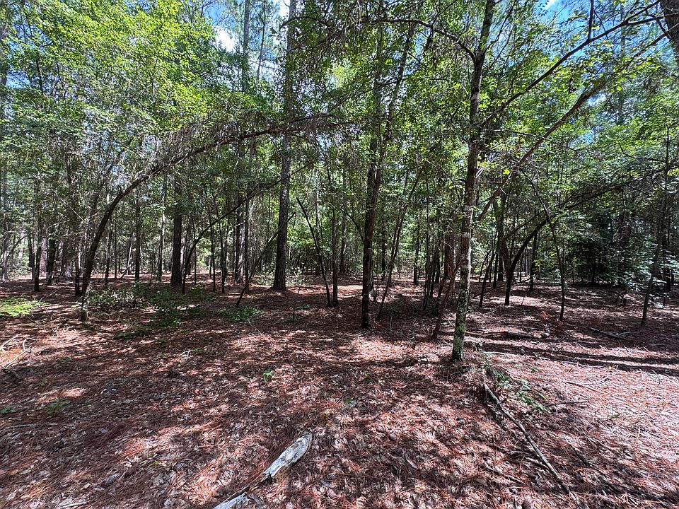 2nd image of 5A Tinker Creek Rd