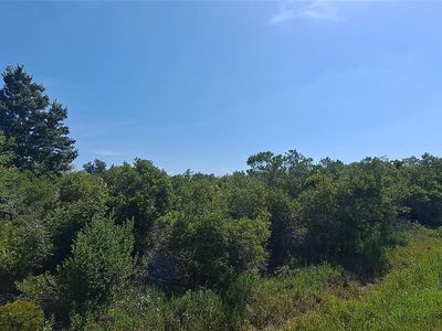 19264 NW 264th Street, Okeechobee, FL, 34972