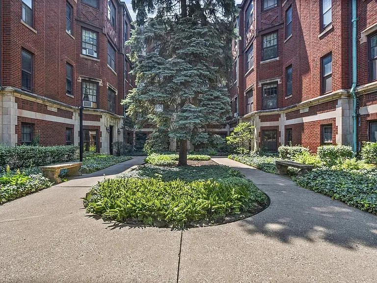 906 Oakton St #2 — Photo 2