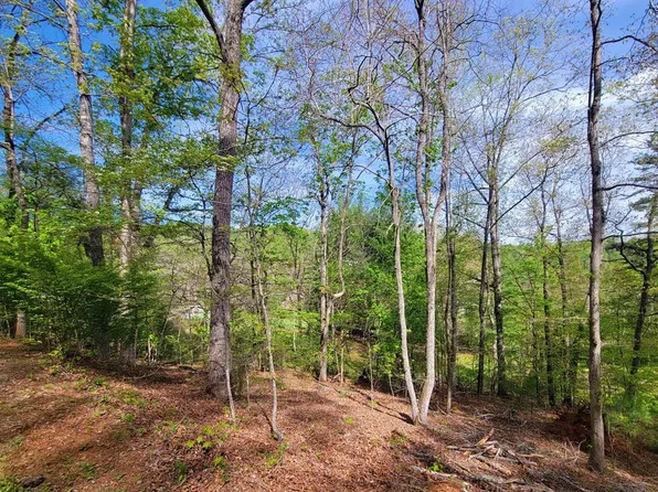 0 Timber Ln, Franklin, NC 28734