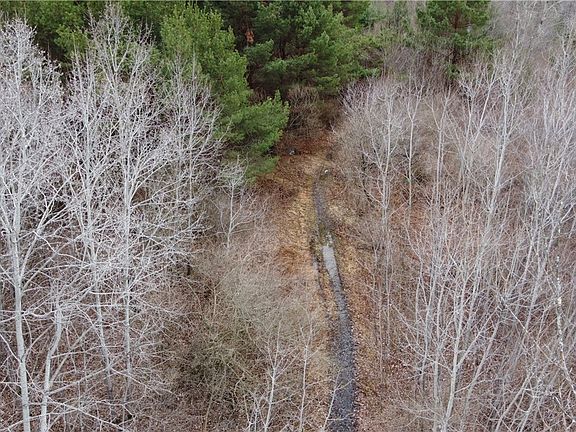 4th image of Tyler Hollow Rd Lot 4