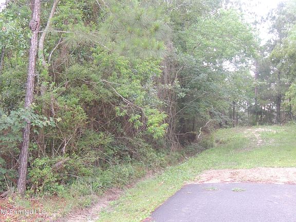 3rd image of 0 Zimmerman Ln