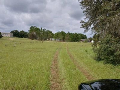 10139 S Buckskin Ave, Floral City, FL, 34436