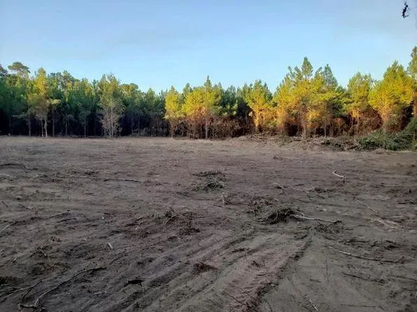 370 Griffin Road, Livingston, TX 77351