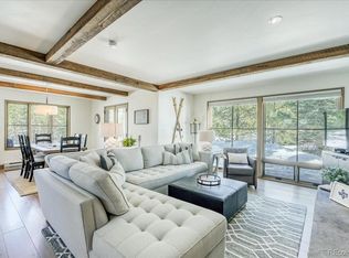 23 E Rd, Silverthorne, CO 80498