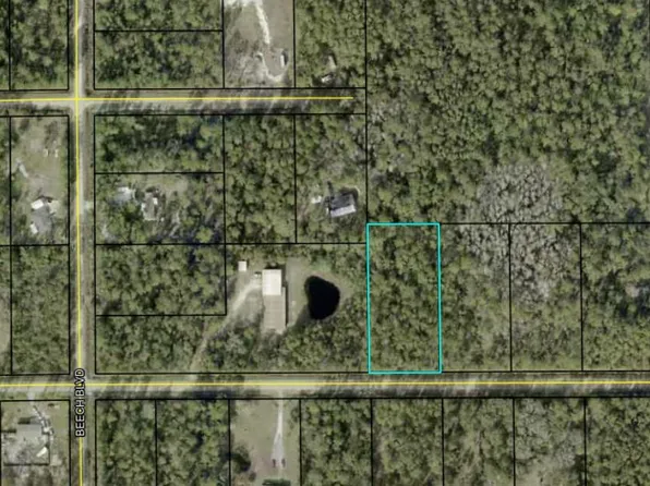5326 Palm Avenue, Bunnell, FL 32110