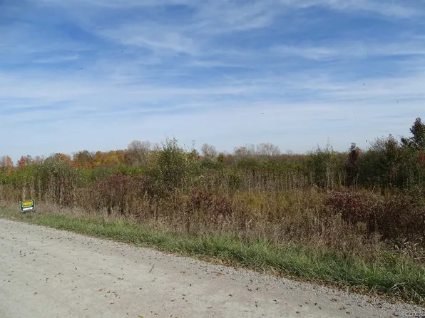 PARCEL McNeil Hwy #D, Tecumseh, MI 49286