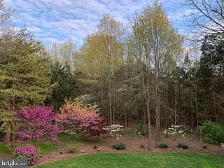 3rd image of 12101 Stretford Forest Ct
