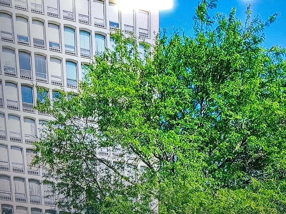1st image of 1451 E 55th St #927S