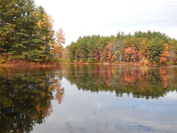 Lamprey/piscassic rives