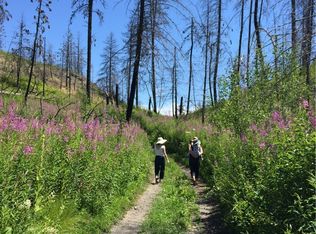 0 Scanlon Lake Rd, Riverside, WA 98849
