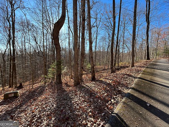 4th image of LOT 2 Forest Canopy Way