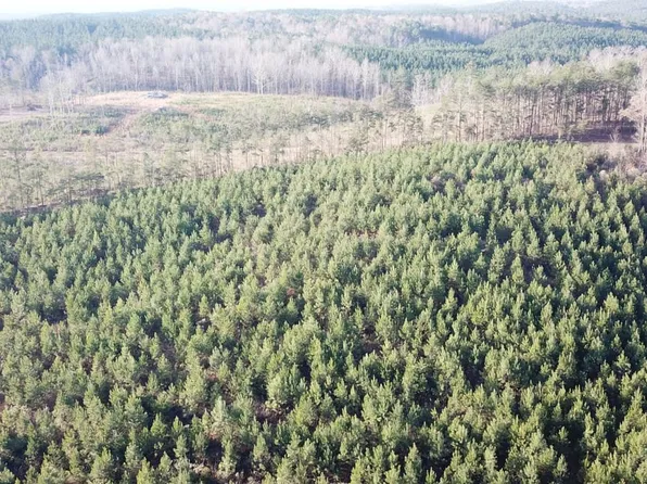 Evanstown Rd, Northport, AL 35475