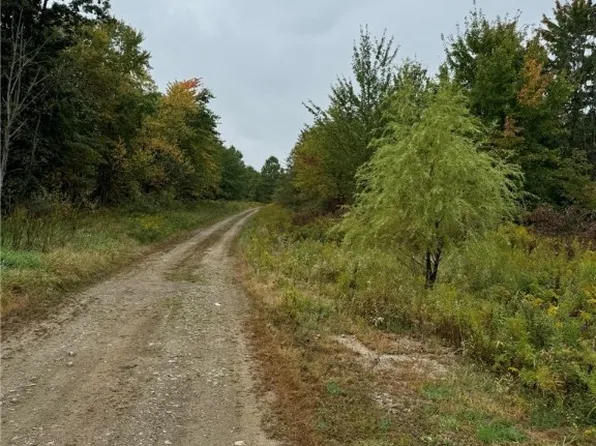 Nichols Rd, Windham, OH 44288