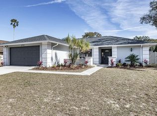 2731 Briarpatch Dr, Valrico, FL 33596