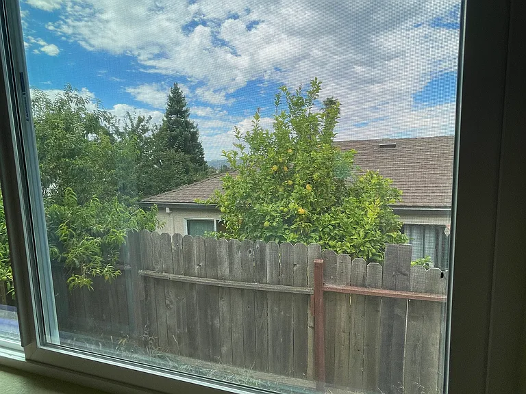 25378 Morse Ct — Photo 11