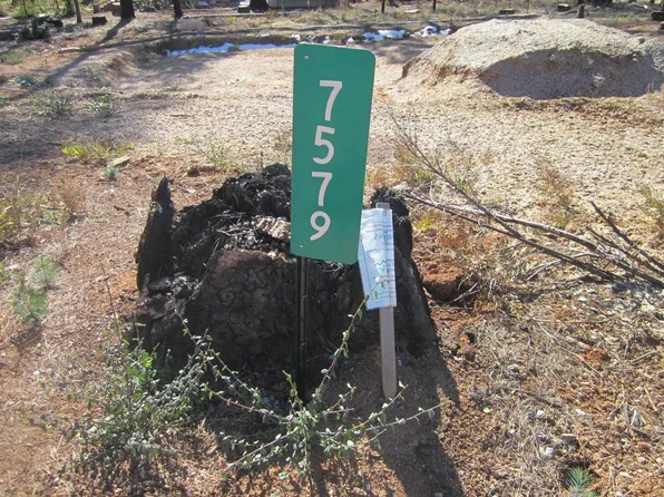 7579 Winding Way, Grizzly Flats, CA 95636