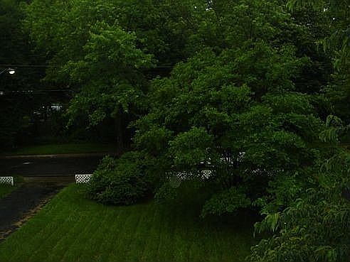 View of Frontyard in Springtime from Upstairs