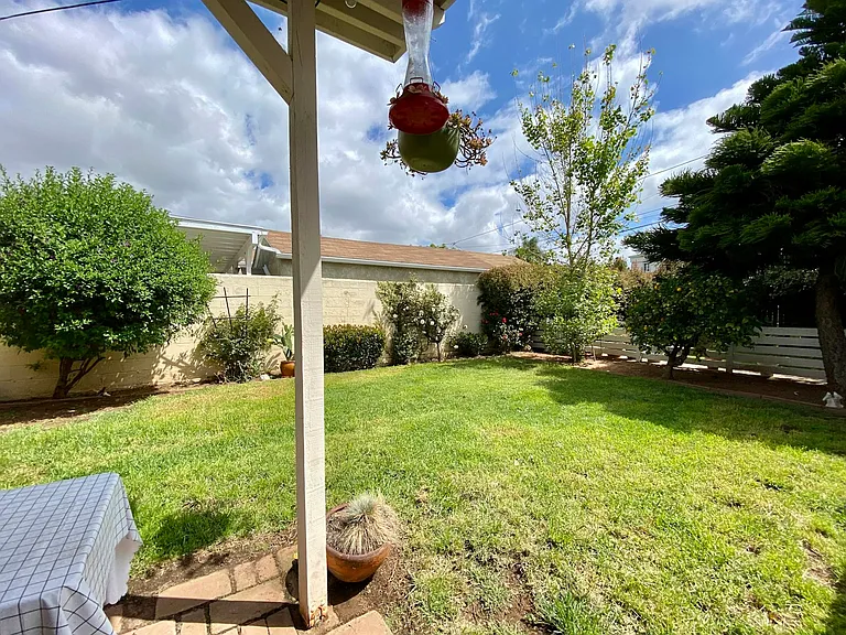 Backyard