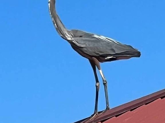 4th image of 30934 Rawls Point Rd