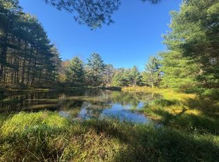 0 Bethel Hill Rd, Susquehanna, PA 18847